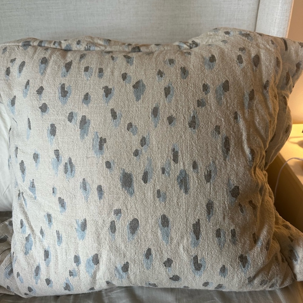 Ballard Design 3 euro shams and bedskirt.